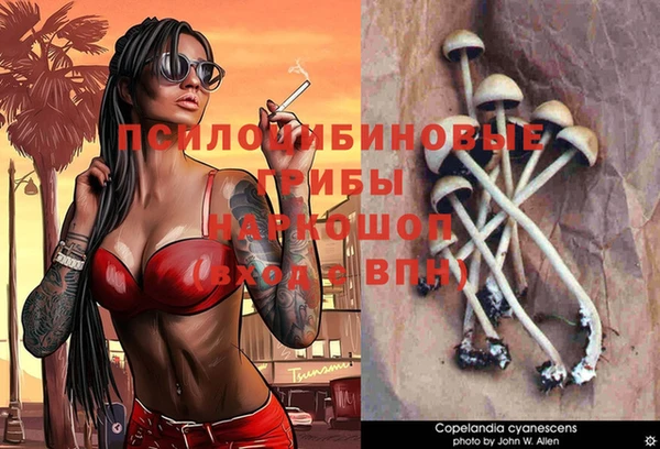дистиллят марихуана Заводоуковск