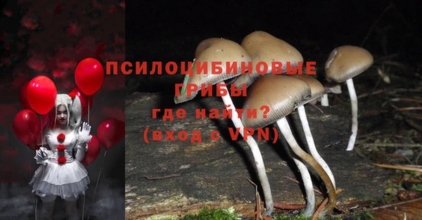 мескалин Заволжье